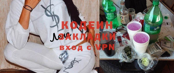 мяу мяу мука Бородино