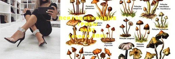 круглые Бронницы